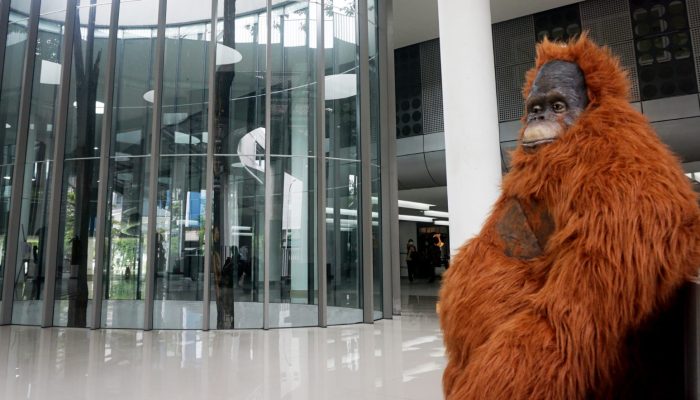 Foto: Ajak Generasi Z Kampanyekan Peduli Orangutan Tapanuli 2023