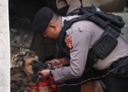 Tim K9 Direktorat Samapta Polda Metro Jaya Pastikan Tidak Ada Korban Belum Terevakuasi