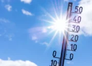 Waspada Heatstroke Saat Cuaca Panas, Ini Awal Gejala dan Cara Mengatasinya