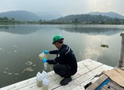 Dinas Lingkungan Hidup Kota Cilegon Selidiki Kematian Ribuan Ikan di Situ Rawa Arum, Begini Katanya…