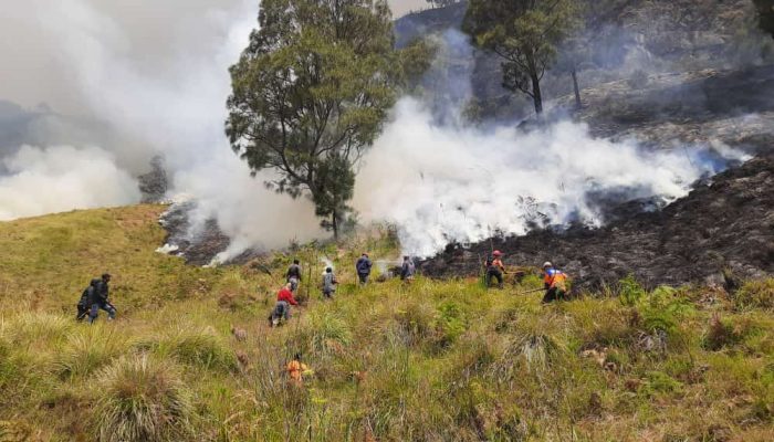 Taman Nasional Gunung Bromo Ditutup Per 1 September 2023, Ini Penyebabnya