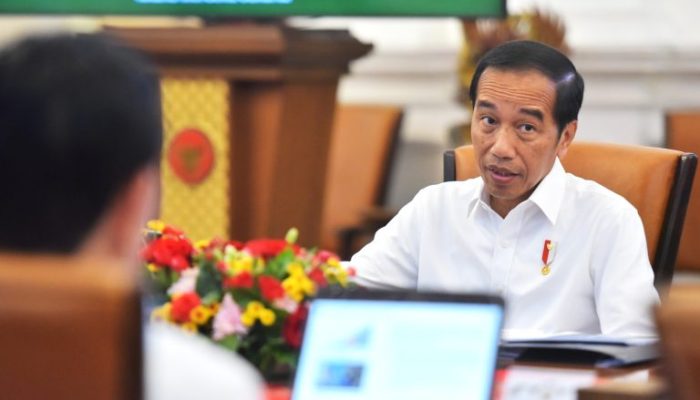Pemerintah Resmi Larang Medsos Melakukan Traksaksi Langsung, Begini Hasil Rapat Terbatas Presiden dan Mendag