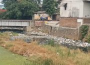 Kali di Kota Cilegon Banyak Sampah dan Mengalami Pendangkalan, Kabid Sampah : Kita Ingin Punya Alat