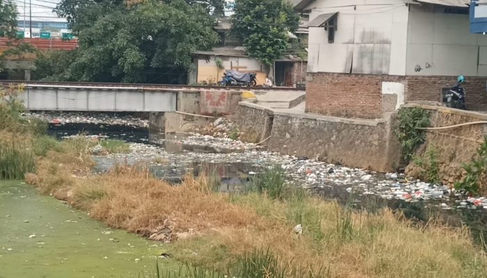 Kali di Kota Cilegon Banyak Sampah dan Mengalami Pendangkalan, Kabid Sampah : Kita Ingin Punya Alat