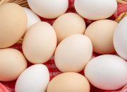 Biar Engga Bosan, Ini Resep Olahan Telur yang Bisa Dicoba Selain Ceplok dan Dadar