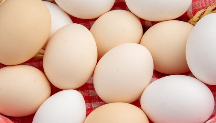 Biar Engga Bosan, Ini Resep Olahan Telur yang Bisa Dicoba Selain Ceplok dan Dadar