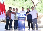 Jokowi Klaim Banyak Investor Antre Untuk IKN Pasca Pemilu