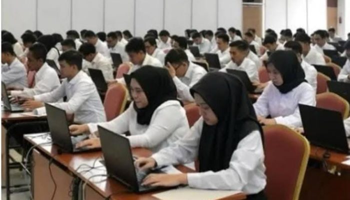 Tidak Ada Passing Grade, Begini Sistem Kelulusan Seleksi PPPK 2024