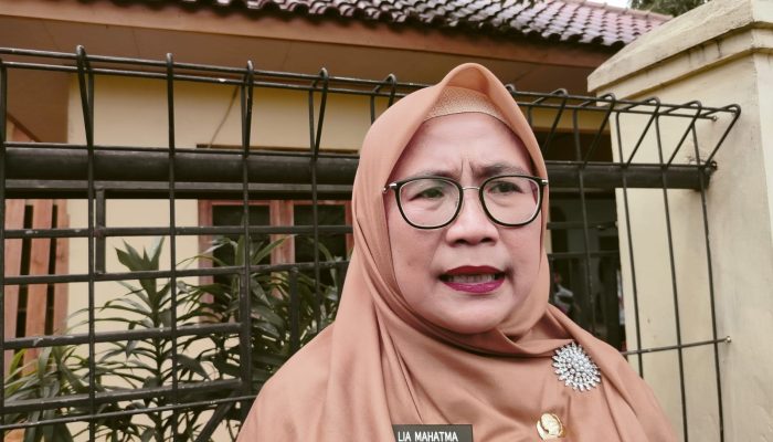 Jelang Arus Mudik 2024, Rentan Pelecehan Seksual, Begini Kata DP3AP2KB Cilegon