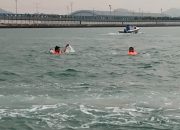 Dua Penumpang Kapal Tercebur ke Laut, Tim SAR Gabungan Sigap Selamatkan Korban