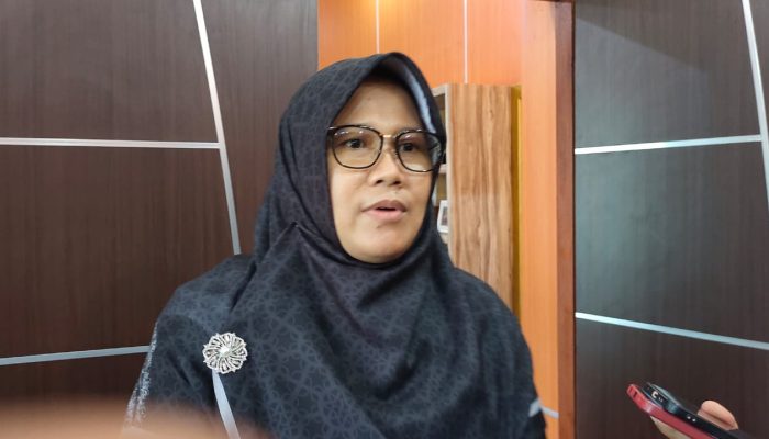 Begini Pandangan Wakil Ketua DPRD Nurrotul Uyun Mengenai Smart City Kota Cilegon
