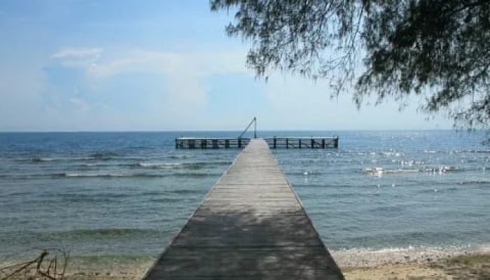 Cagar Alam Pulau Dua, Surganya Bagi Ribuan Burung Transit untuk Menghindari Hawa Dingin