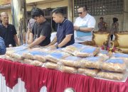 Puluhan Kilo Ganja Dimusnahkan Satresnarkoba Cilegon, Menghindari Disalahgunakan Penyidik