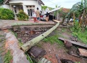 Terparkir di Garasi, Mobil Warga Cilegon Ringsek Tertimpa Pohon