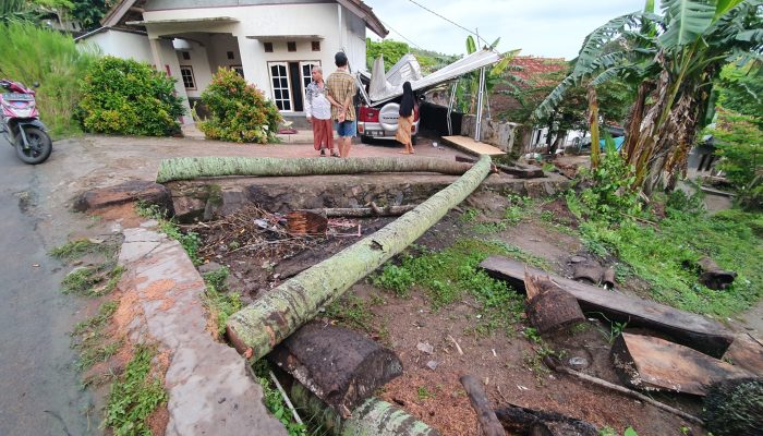 Terparkir di Garasi, Mobil Warga Cilegon Ringsek Tertimpa Pohon