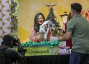 Foto: A Fun Cat Fashion Show Ajang Edukasi Pecinta Kucing