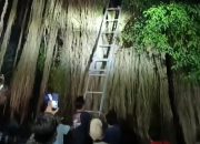 Heboh Seorang Pria Hilang 3 Hari Ditemukan di Atas Pohon Beringin