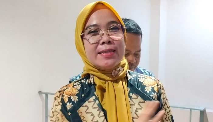 KPU RI Ungkap Partisipasi Pemilih di PSU Turun