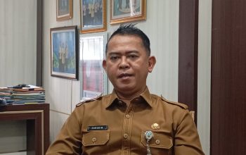 Pimpin Kabupaten Serang, Zakiyah-Najib Bakal Dapat Mobil Dinas Seharga 2 Miliar