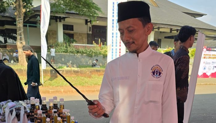 Viral! Bendera One Piece Berkibar Jelang Hari Kemerdekaan, Dewan Kebudayaan Cilegon Angkat Bicara