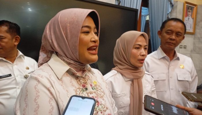 Anggota DPR RI Terima Aspirasi Pemkab Serang, Ini yang Dibahas 