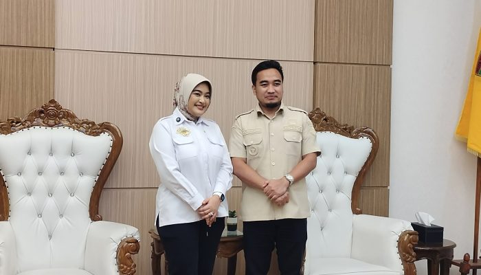 Annisa Mahesa Desmond Bertemu Wali Kota Cilegon Robinsar, Bahas PAD Hingga JLU